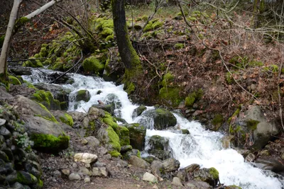 DSC_0917 (Large).JPG